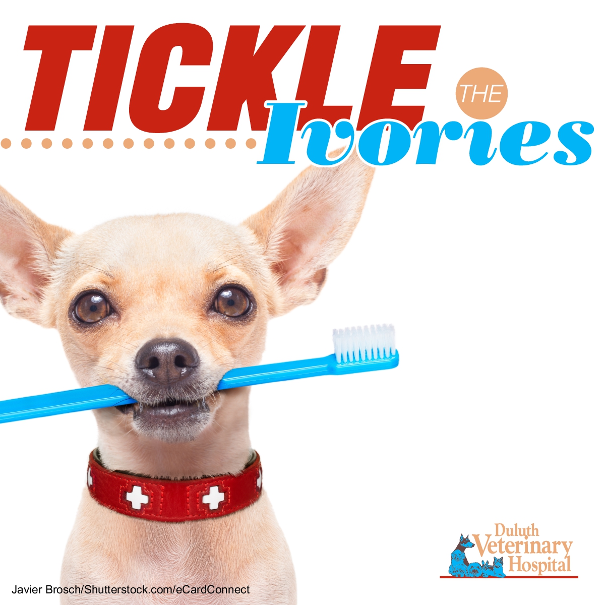 Tickle the Ivories!