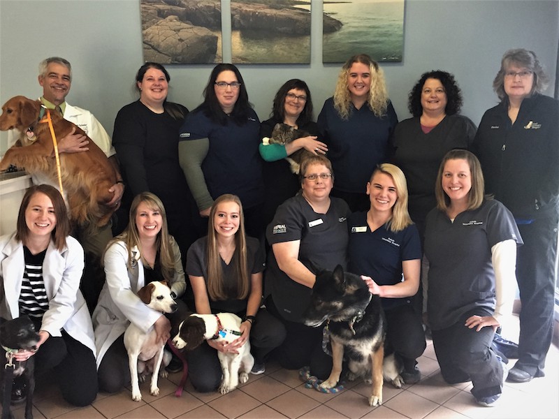 duluth veterinary hospital