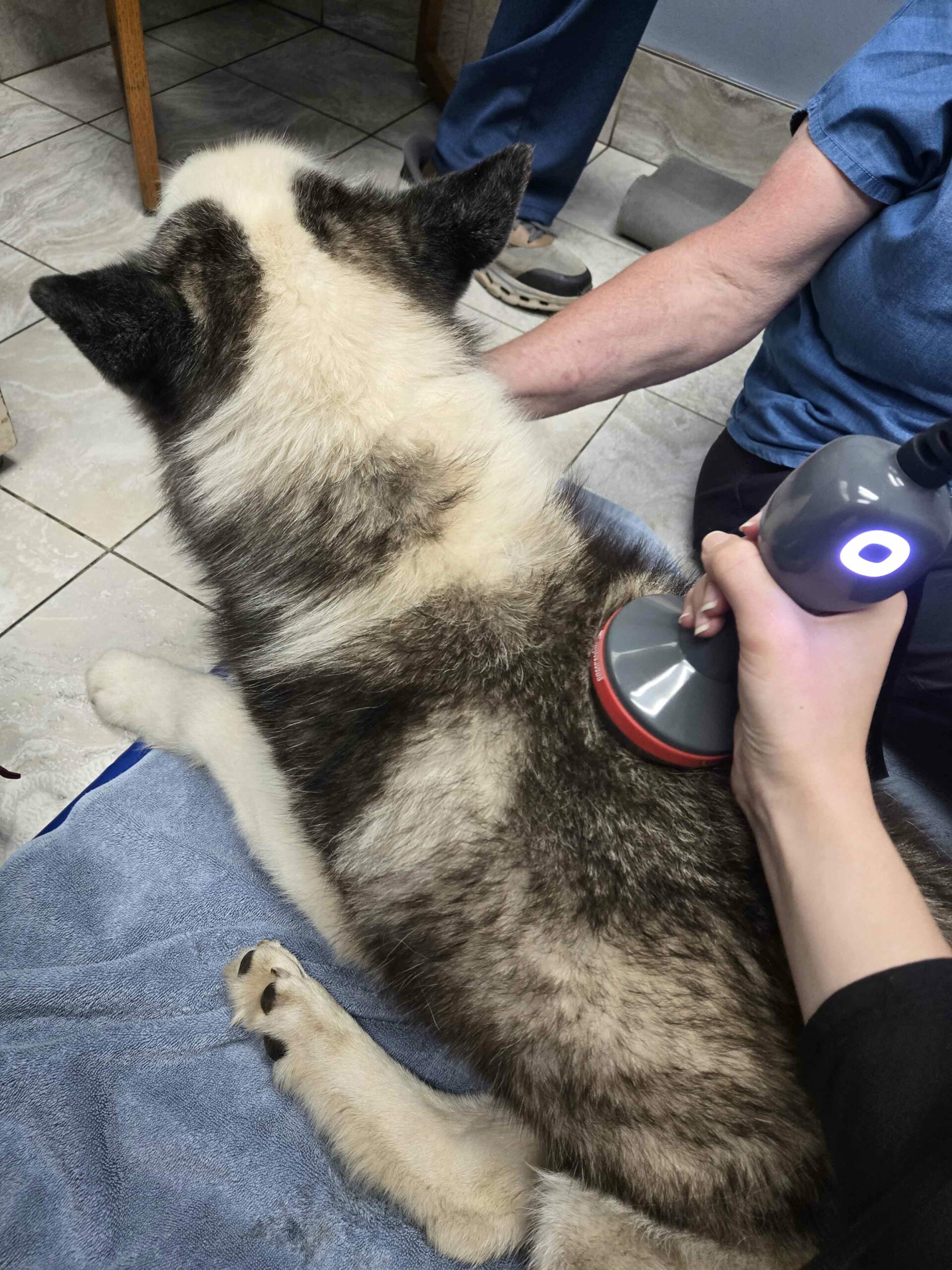 A Gentle, Light-Based Approach to Healing