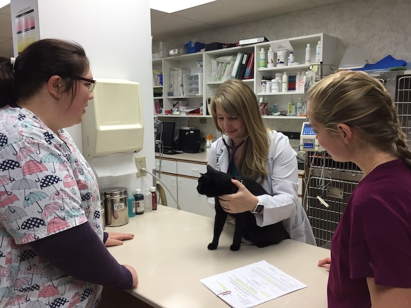 Get to Know Us Better