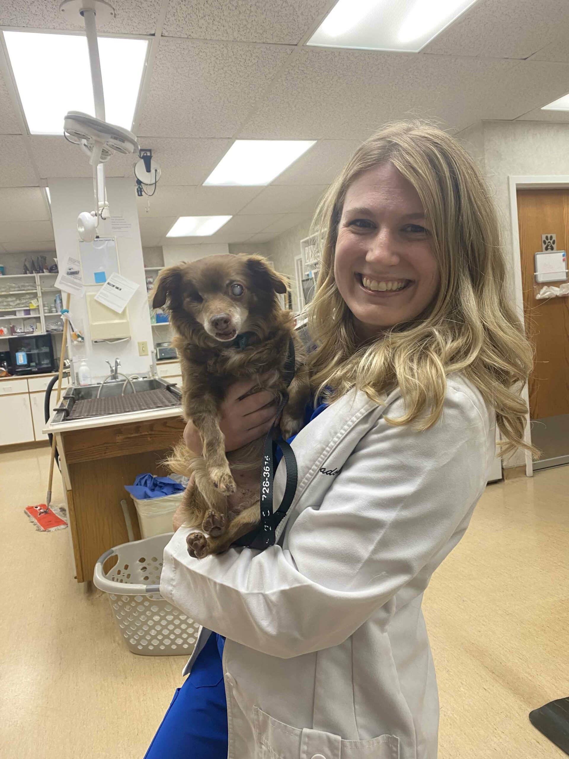 Let’s Get Your Furry Family Member Back on Their Feet | Schedule Today!