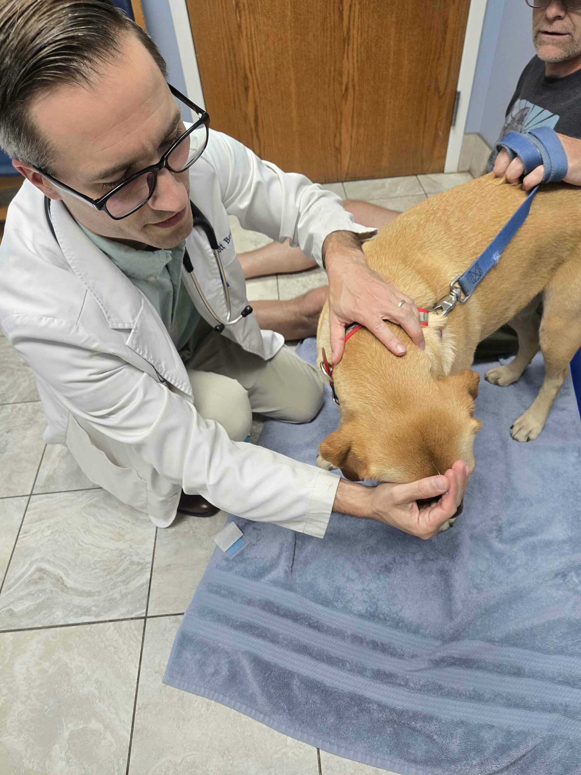 Let’s Talk About What’s Best for Your Pet