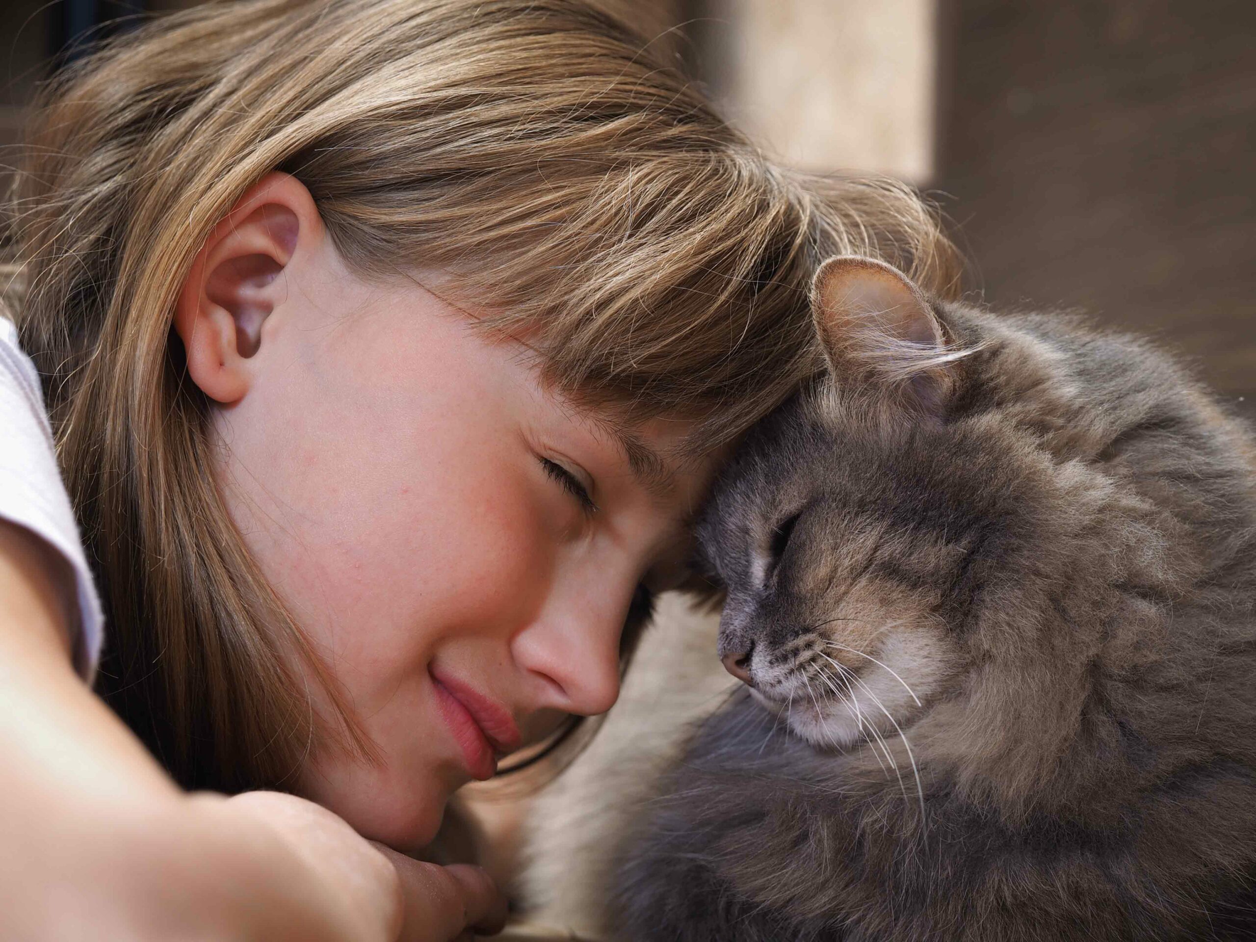 Let’s Talk About Your Pet’s Behavior