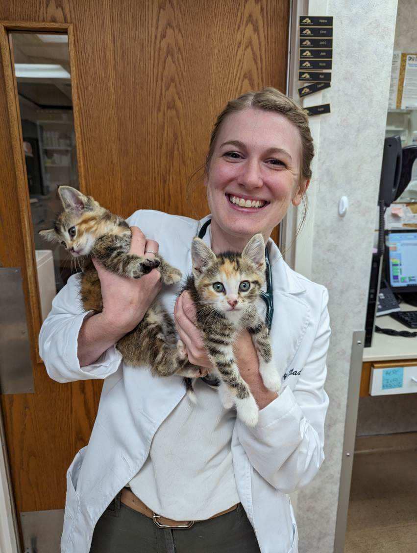 Ready to Schedule a Wellness Visit?